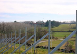 ImprendiNews – La Masera, azienda agricola – Primo vigneto