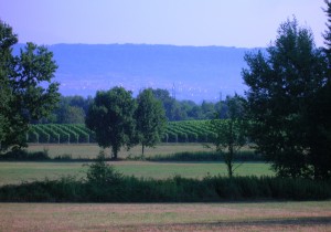 ImprendiNews – La Masera, azienda agricola – Scorcio delle campagne di Settimo Rottaro